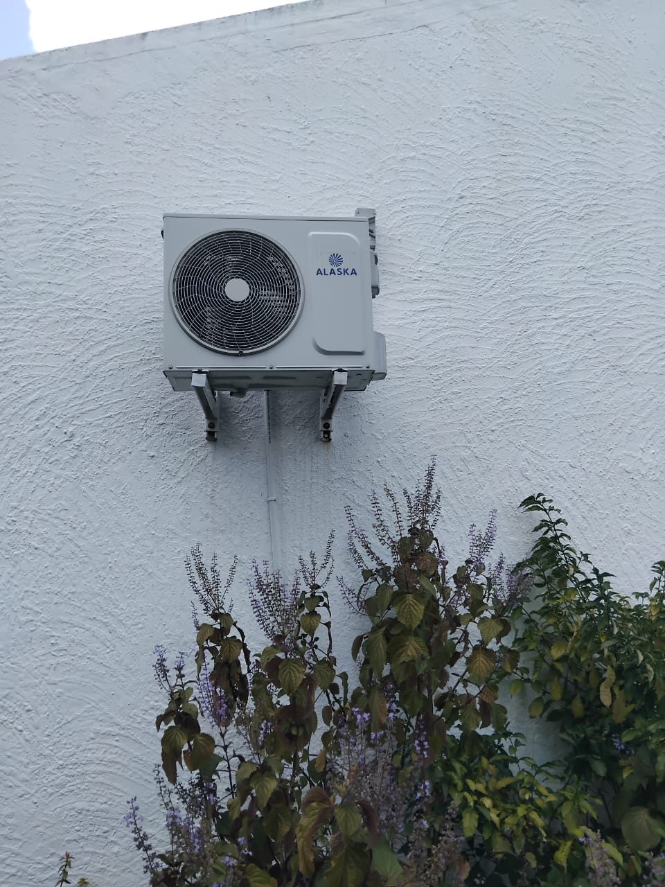 whatsapp image 2026 04 15 at 14.32.16